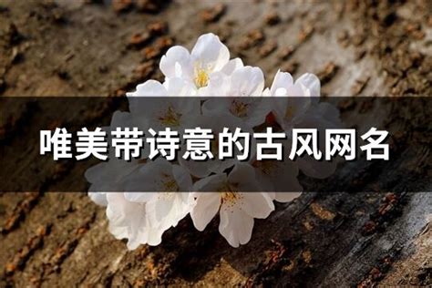 兩字網名|两个字的古风诗意网名【精选100个】